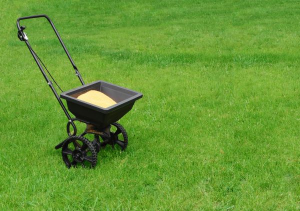 Temecula Lawn Treatment