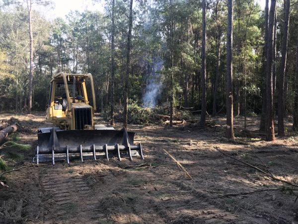 Temecula Land Clearing