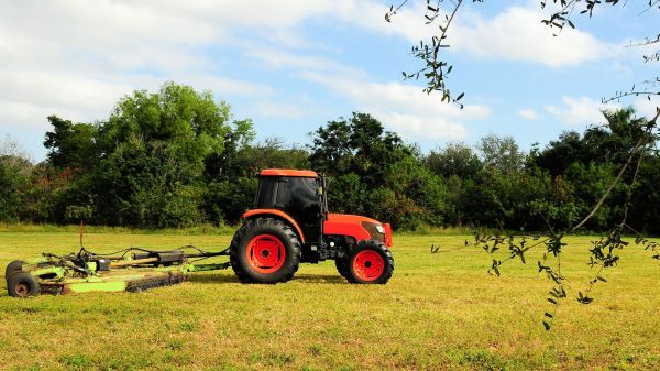 Temecula Bush Hogging